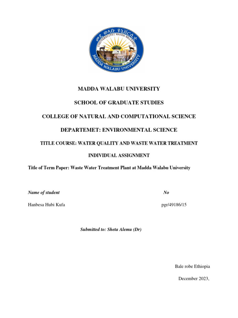 Hanbesa Assignement Waste Water Treatment | PDF