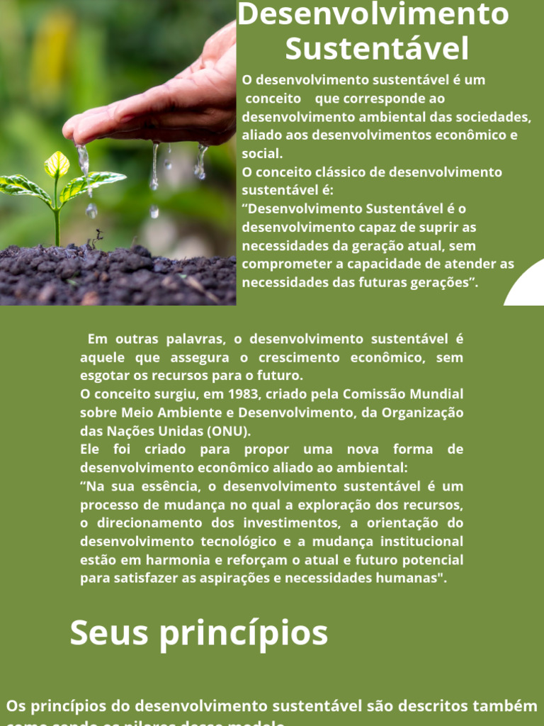 Desenvolvimento Sustentável | PDF | Sustentabilidade | Desenvolvimento ...