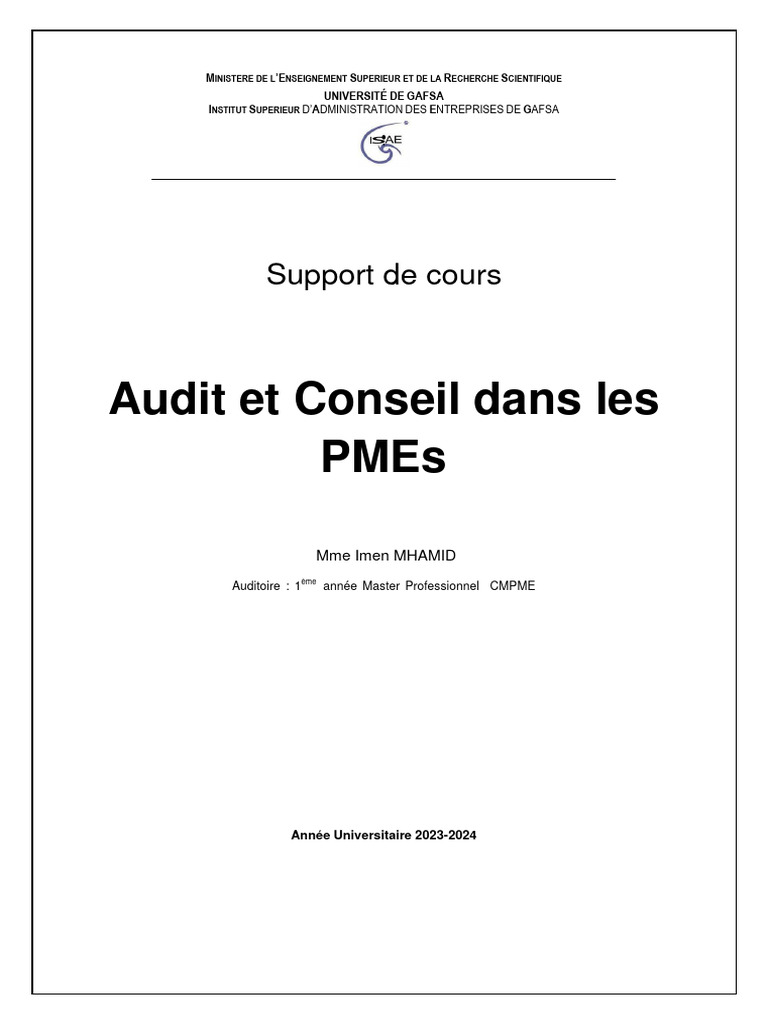 Audit et Conseil pour PMEs | PDF