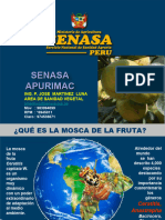 Curso Mosca de La Fruta 2013