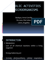 Metabolic Activities of Microorganisms