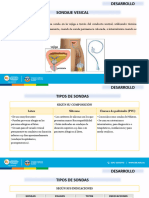 21 Clase Sonda Vesical