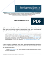 Jurisprudencia em Teses 217 - Direito Ambiental V