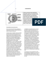 SEC 11 COSMOGRAFIA Estructura Solar