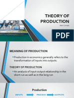 Theory of Production