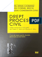 DPC Briciu