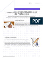 Infografía Sobre Los Mecanismos Constitucionales de Protección - Infogram