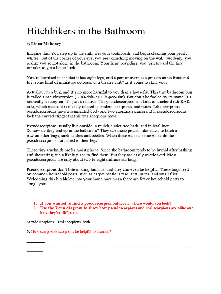 Year 5 Hitchhikers in The Bathroom PDF