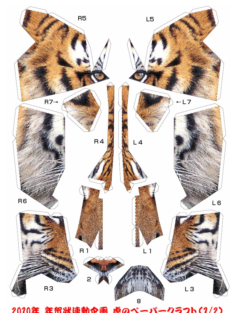 Tiger | PDF