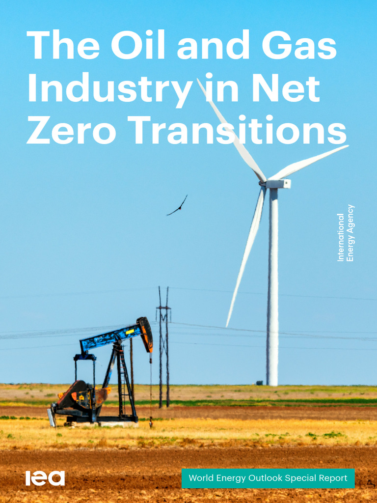 Oil & Gas in Net Zero Transition | PDF | International Energy Agency ...