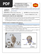 Examen Coprológico: Métodos y Resultados | PDF | Heces | Diarrea