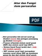 Struktur Dan Fungsi Persyarafan