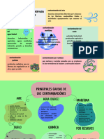 Mapa Mental de Las Derivadas y Posibles Razones Del A Contaminaciones