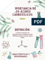 Los Ácidos Carboxílicos y Su Importancia