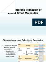 Transmembrane Transport of Small Ions and Molecules