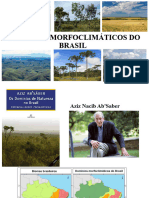 Domínios Morfoclimáticos Do Brasil