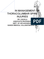 Issues in Management of Thoracolumbar Spine Injuries