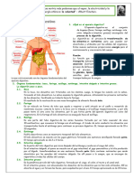 Aparato Digestivo