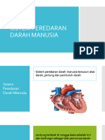 Sistem Peredaran Darah Manusia