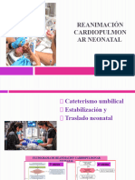 8 RCP NEONATAL, Cateterismo, Estabilización y Transporte