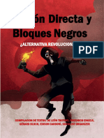 Acción Directa y Bloques Negros Con Presentacion y Con Formato