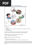Class 5 EVS Chapter 13 Amazing Energy