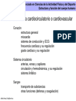 Sistema Cardiovascular. Sistema Circulatorio