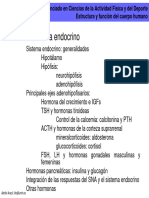 Sistema Endocrino