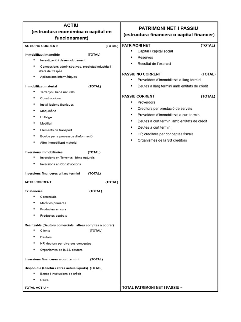 Model Balanç de Situació - PAU 2024 | PDF