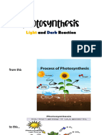 Photosynthesisv 3