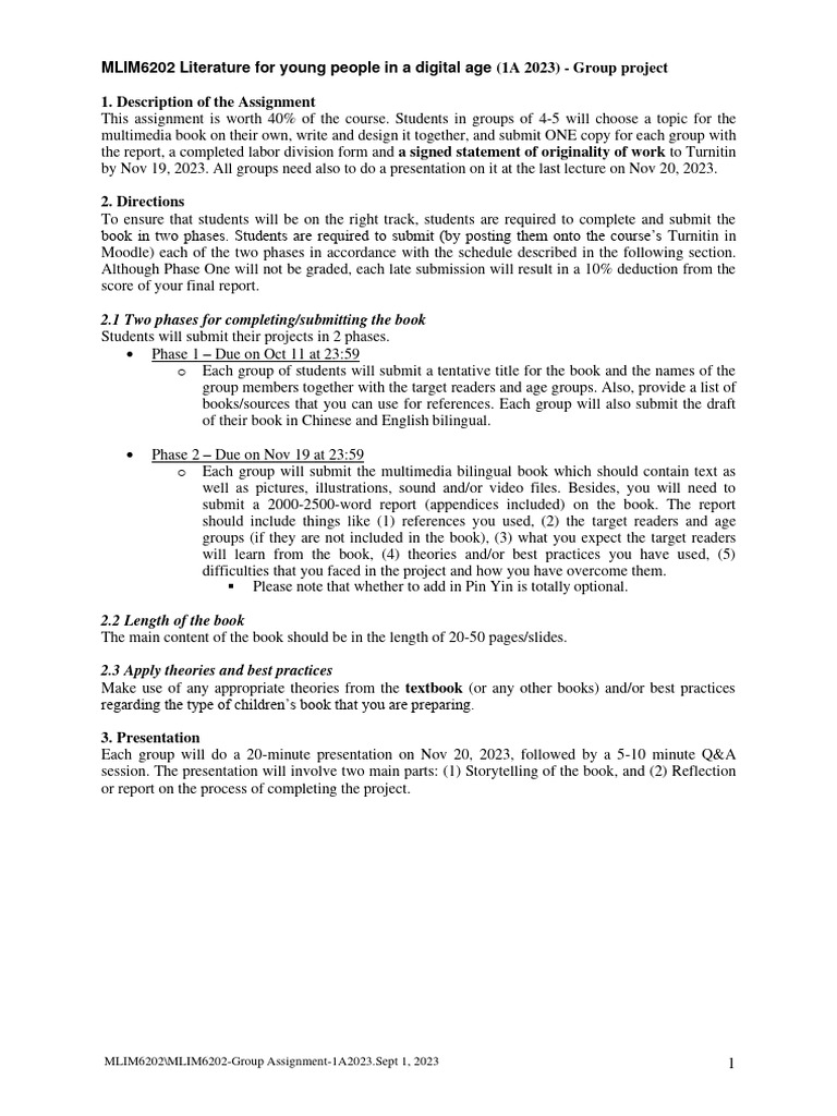 Mlim6202 group assignment guidelines pdf theory information