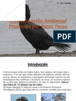 Contaminacion Ambiental Producida Por Patos Yecos