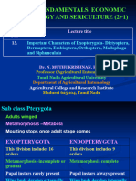 Ex. No. 10 - Exopterygota-Dictyoptera, Dermaptera, Embiopterand, Orthoptera, Mallophaga and Siphunculata