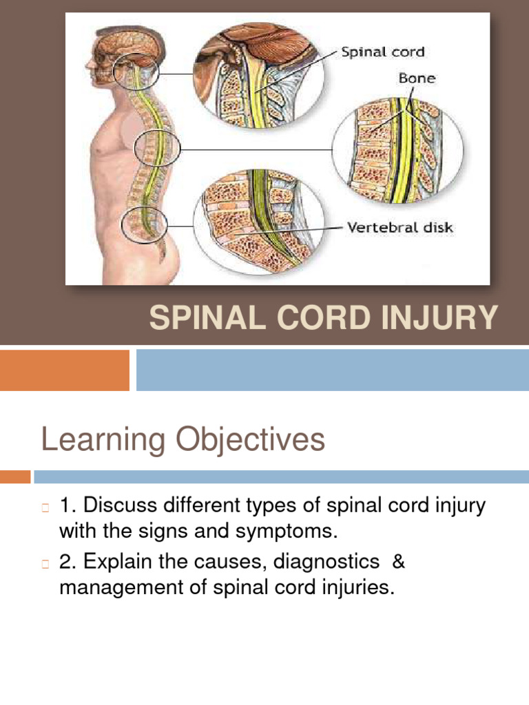 Understanding Spinal Cord Injury Types | PDF