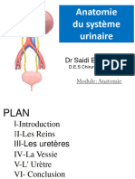 6 - Anatomie Du Systeme Urinaire