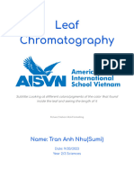 Nhu (Sumi) Anh Tran - Lab Report Template Chromatography PDF