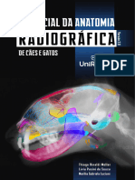 Essencial Da Anatomia Radiografica de Caes e Gatos - Uniradio PDF