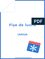 fise-de-lucru-iarna