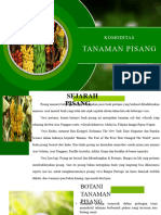 Komoditas Tanaman Pisang