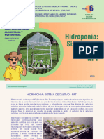 Hidroponia (1)
