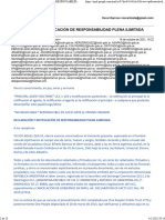 Declaración Y Notificación de Responsabilidad Plena Ilimitada