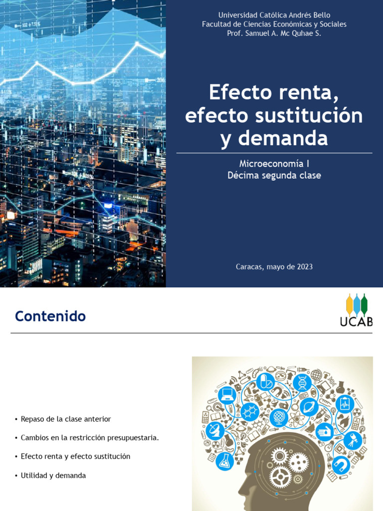 Efecto Renta y Sustitución en Demanda | PDF | Microeconomía | Economias