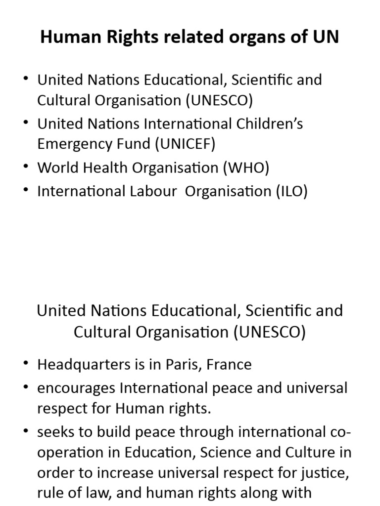 UN Human Rights Agencies Overview | PDF | Human Rights | United Nations