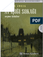 7881 Ay Ishighi Sokaghi Stefan Zweig Ahmed Arpad 2014 193s