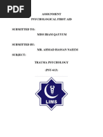 SAFER-R Crisis Intervention Model Overview | PDF
