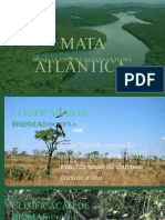 Projeto P.I Mata Atlântica - 20231124 - 191115 - 0000