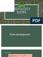 Histology Slides