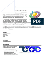 Ciclo Di Deming