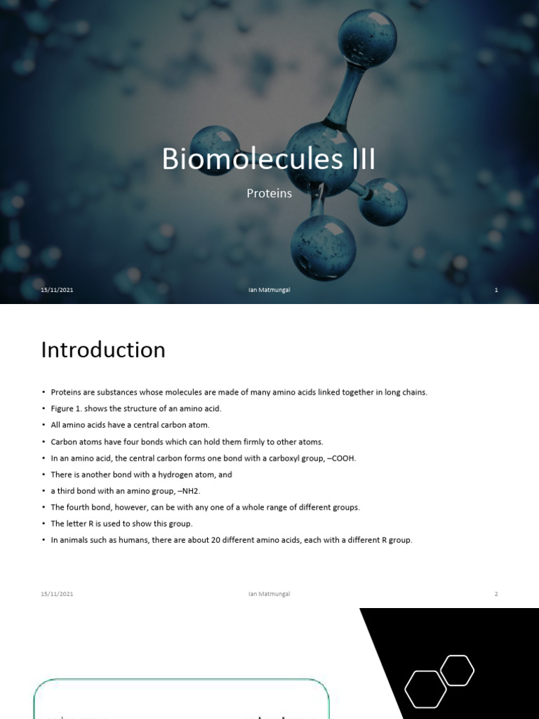 Biomolecules III - Proteins | PDF