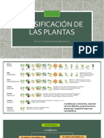 ADA 3. Clasificación de Las Plantas
